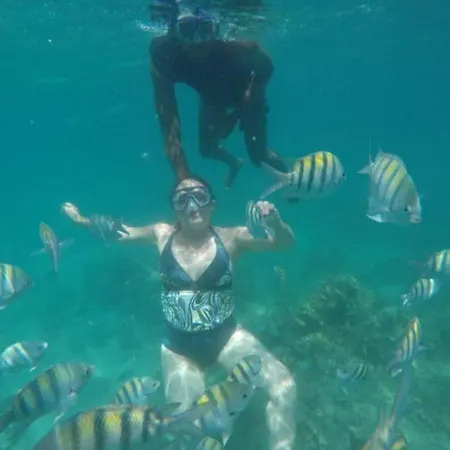 Hospedaje,cartagena,turismocolombia-fit * Cartagena
